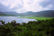 雄国沼 沼