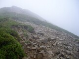 登山道