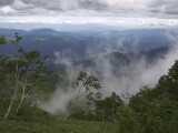 山