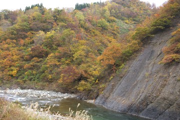 清津川の紅葉 清津川