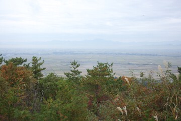 田園風景