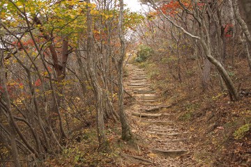 登山道