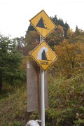 なだれ注意 標識