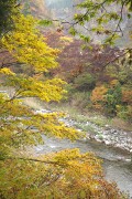 清津川 清津川