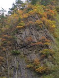 岩壁の紅葉 柱状節理