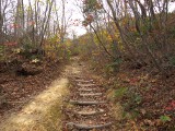 登山道