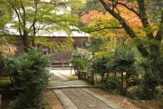 本堂と参道
