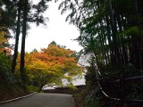 国上寺
