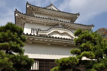 天守閣 丸亀城 天守閣