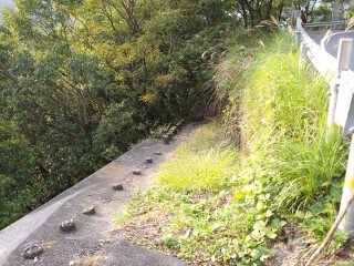 坪尻駅入口 側道