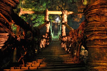 かずら橋 かずら橋