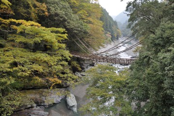 祖谷川に架かる かずら橋