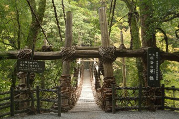 出口専用 かずら橋