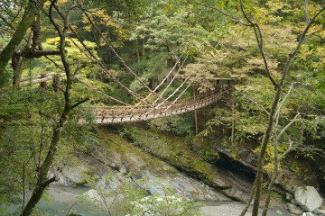 かずら橋 かずら橋