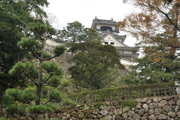 天守閣 高知城