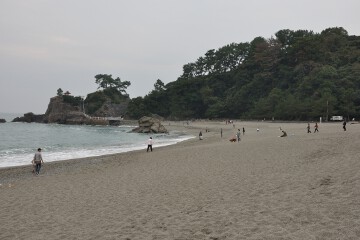 龍王岬と桂浜 桂浜