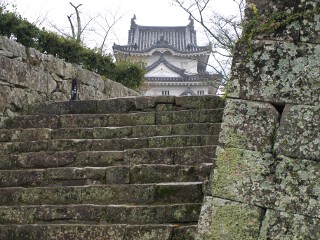 天守閣 宇和島城 天守閣