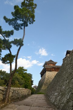 本丸 松山城本丸