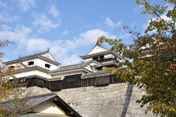 松山城連立天守群 松山城 天守閣