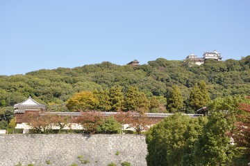 やすらぎ広場 松山城