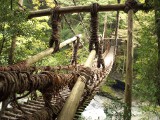 側面 かずら橋
