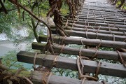橋床のさな木 かずら橋