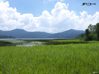 尾瀬沼（福島県、群馬県）