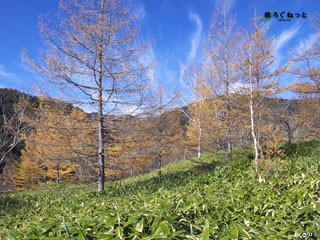 奥日光（栃木県）