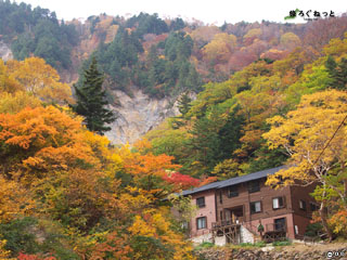 姥湯温泉（山形県）