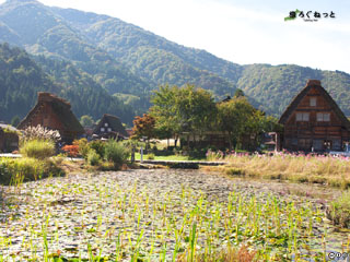 白川郷（岐阜県）