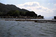 伊根湾めぐり 伊根湾めぐり