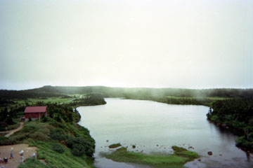 八幡沼 沼