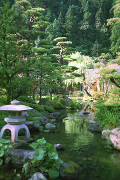 庭 たちばなや 庭