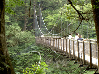 回顧の吊橋
