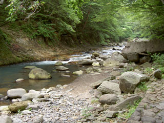 仙人岩吊橋付近