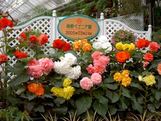 来園記念のプレート