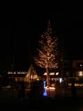 クリスマスツリー・イルミネーション