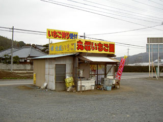 いちご狩りができる いちご狩り受付所