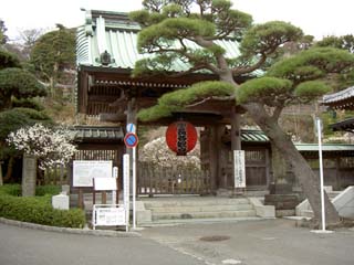 長谷寺 表門