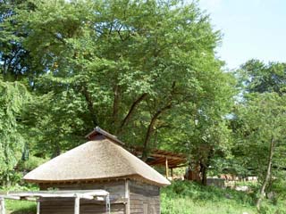 バーベキュー場 水車小屋と野外バーベキュー場