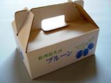 プルーン 箱「信州佐久のプルーン」