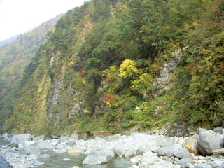 黒部川と紅葉