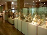 ガラスケースが並ぶ展示室