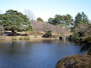 新宿御苑と池