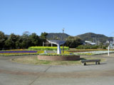 花の広場公園 花の広場公園