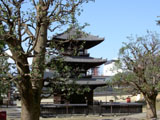 興福寺 三重塔