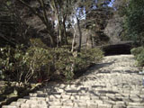 室生寺 石段