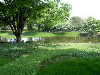 渓流広場 渓流広場