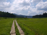 大江湿原 湿原と木道