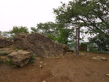 山頂 標高902.0m